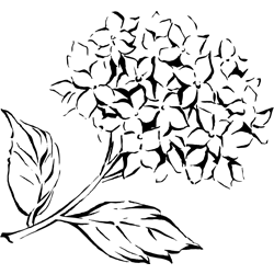 Symbol 41