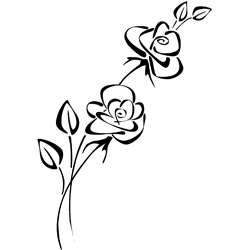Symbol 43