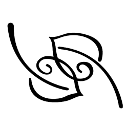 Symbol 45