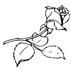 Symbol 1