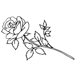 Symbol 3