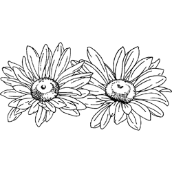 Symbol 26