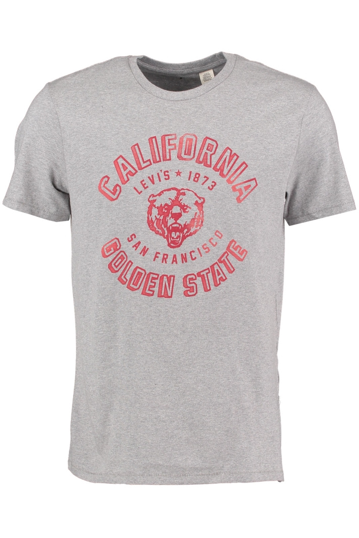 STEFFE GRAPH IC SETIN NECK 2